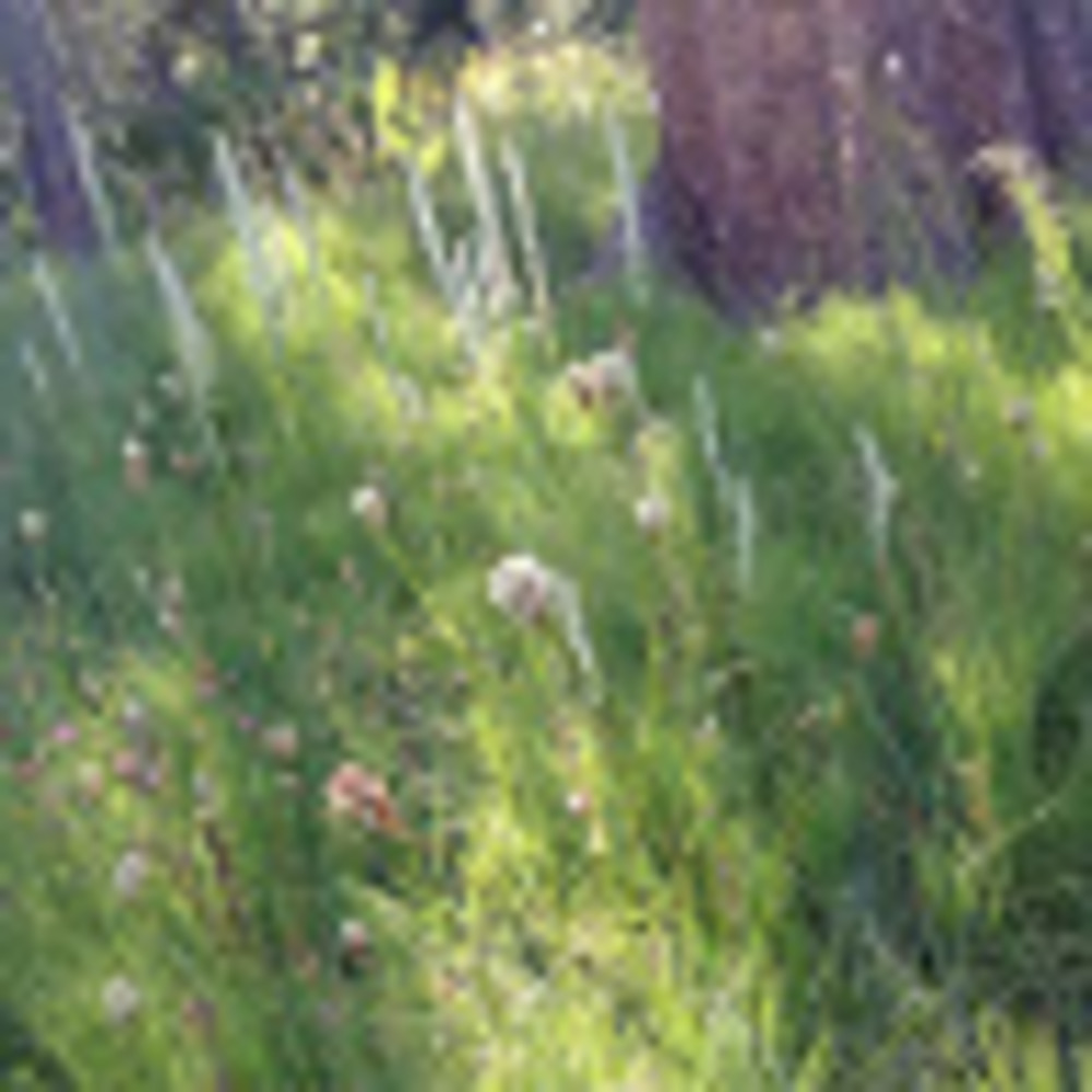 Meet your Posher, Eve